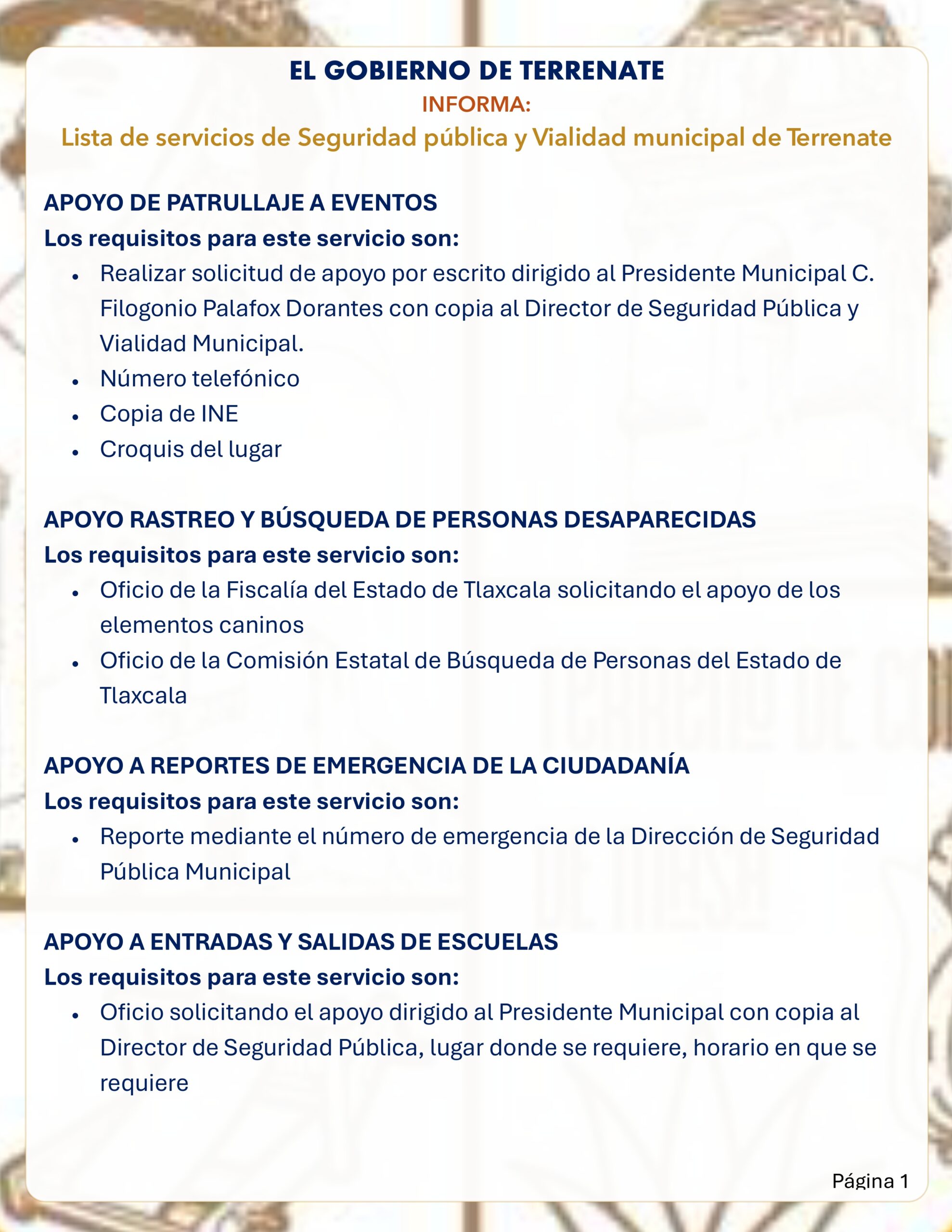 Seguridad Pública página 1