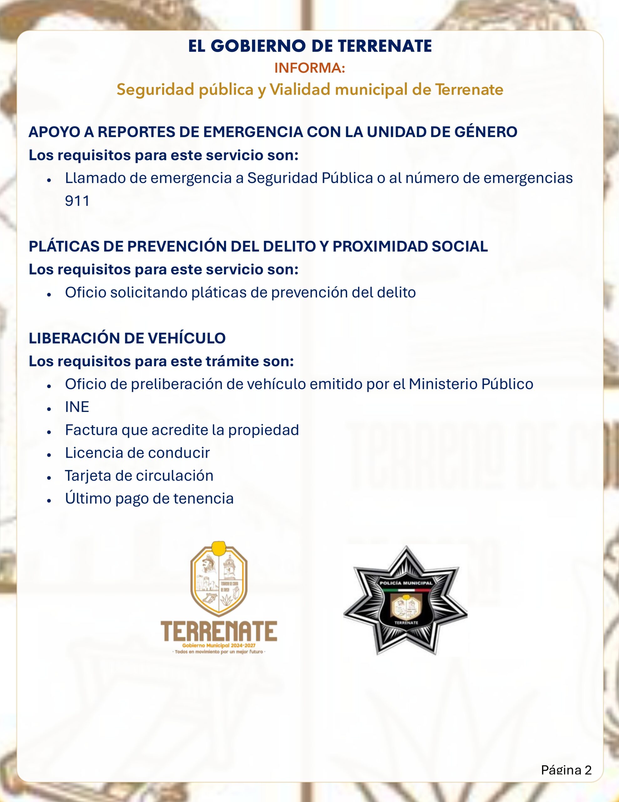 Seguridad Pública página 2